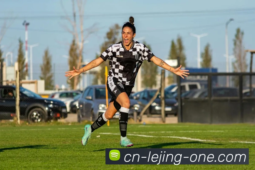 乐竞体育平台生态图